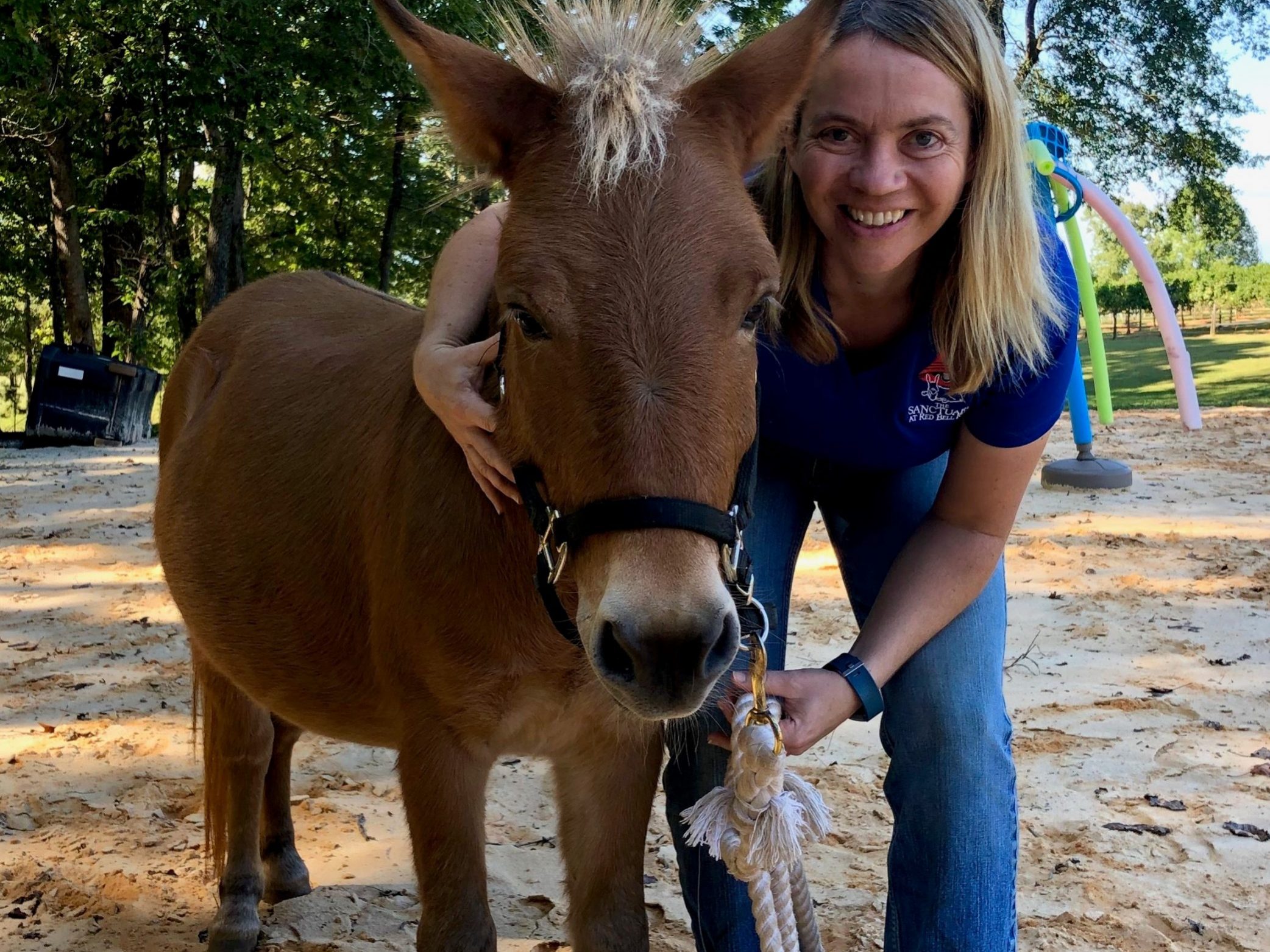 A woman smiling with a horse.