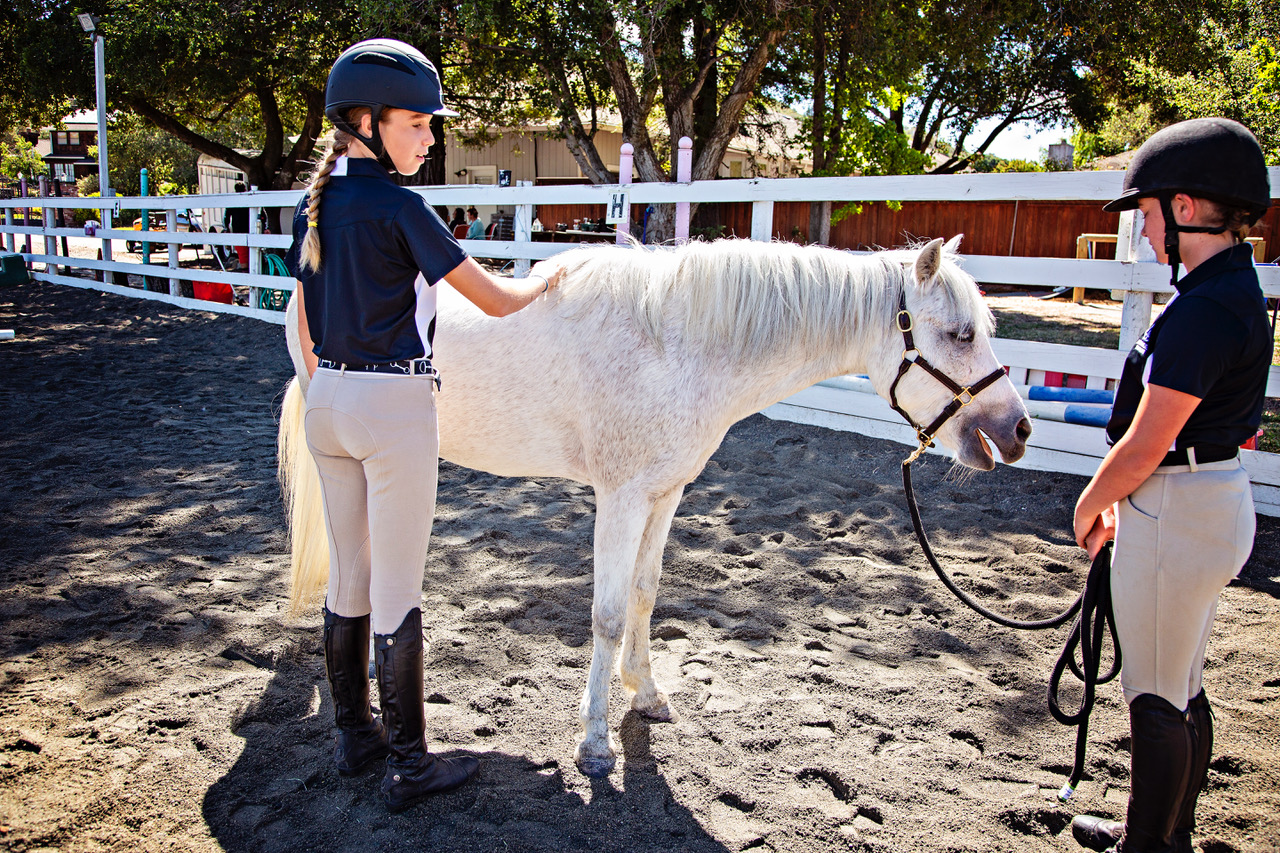 Photo of a girl doing the Bladder Meridian technique on a pony while the pony is yawning.