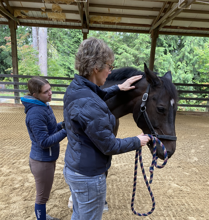 Anna_Barb Bladder meridian