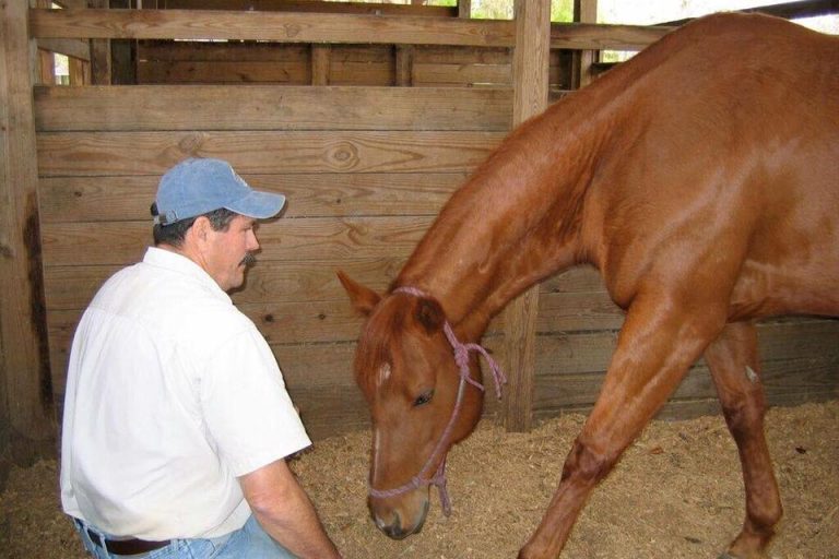 Photo of Jim Masterson with a horse in a stall.