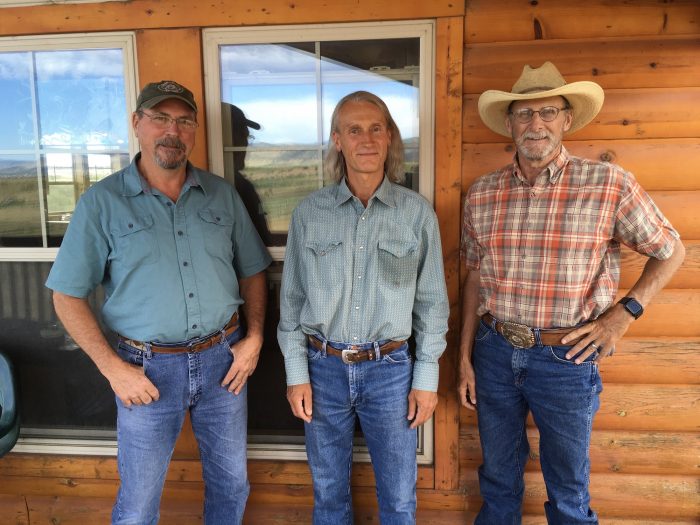 Your Horses Brain - Jim Mark Steve Show