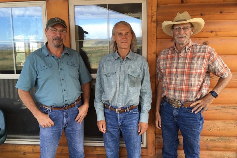 Your Horses Brain - Jim Mark Steve Show