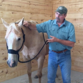 Jim does bodywork with Tonic