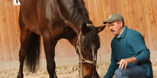 Photo of Jim doing Scapula Release with a relaxed horse.