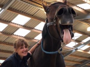 Vicky with horse yawning