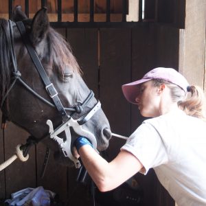 Photo of Gretchen doing dentistry on a horse.