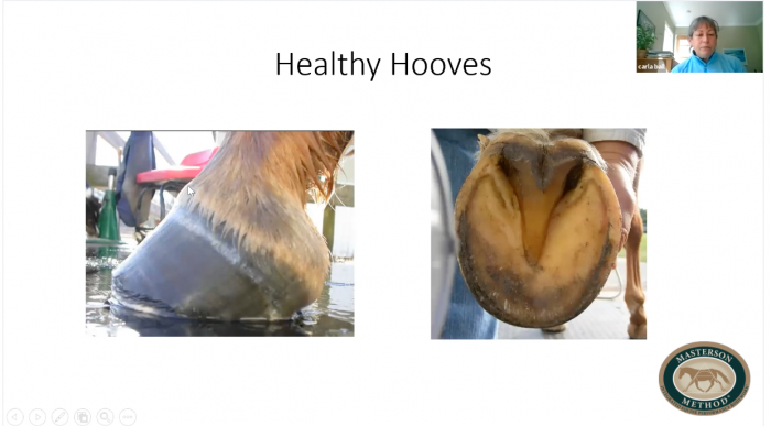 Screen Shot 2022-01-21 at 2.24.02 PM