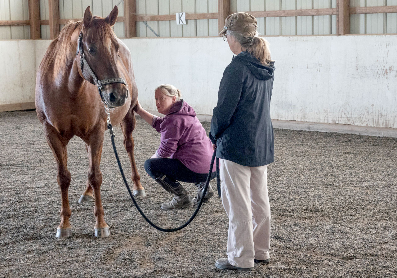 Photo of woman touching horse and watching for a response in the face