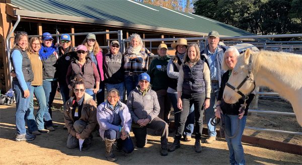 Photo of students and instructors with horse at course