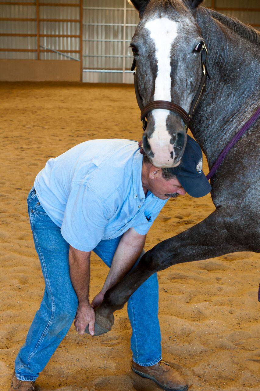 Questions about Scapula Release Down and Forward Technique - Masterson ...