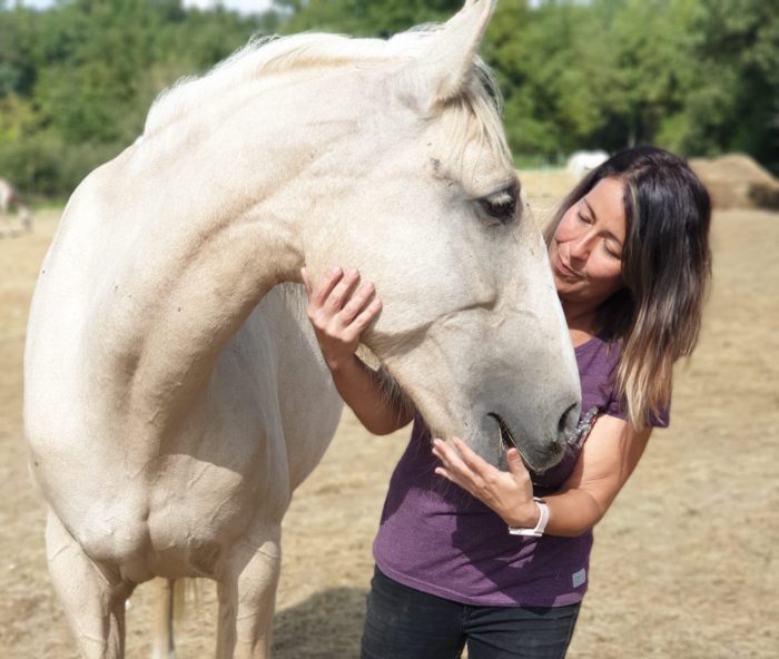 Sonia Bascunana, MMCP A woman working with a horse.
