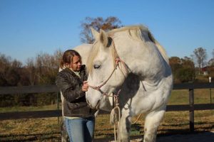 Masterson Method Practitioner doing Lateral Cervical Flexion technique with a horse