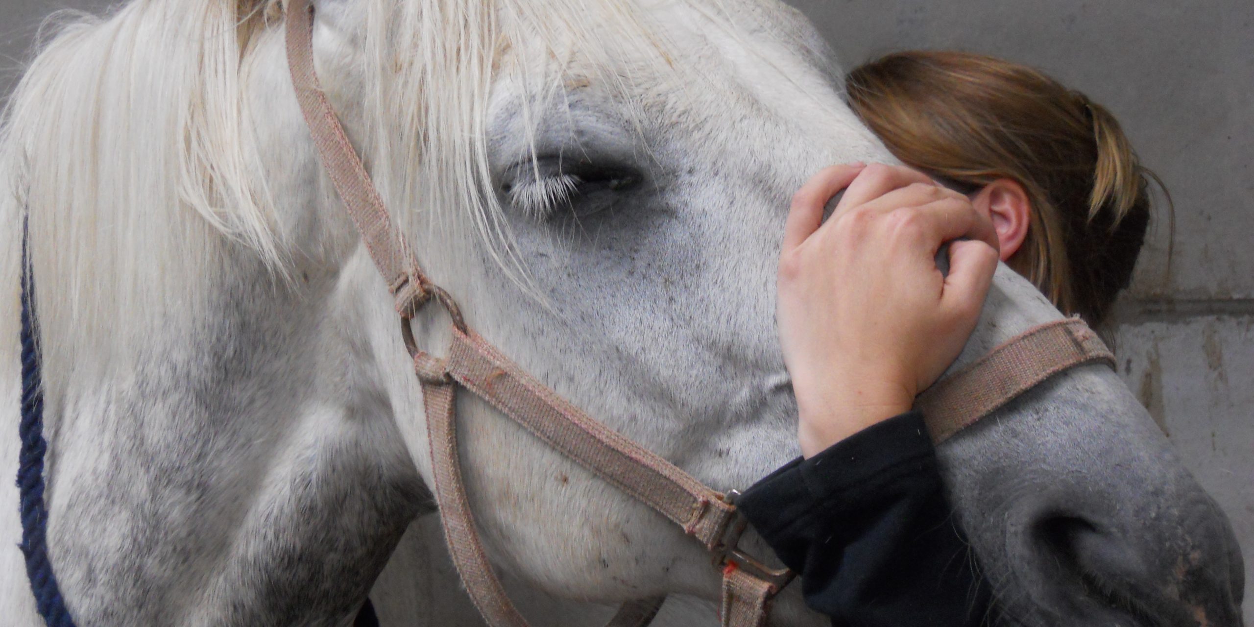 DSCN0448 – Copy – Copy