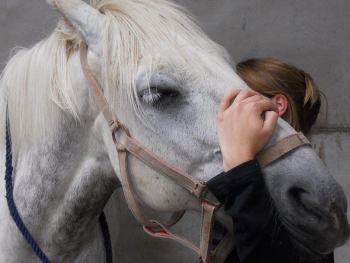 DSCN0448 – Copy – Copy