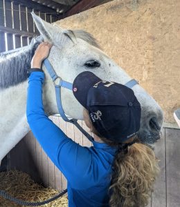 Masterson Method Practitioner doing Head-Up technique with a horse