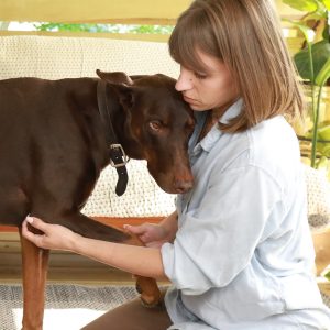 Photo of owner supporting a dog's leg forward to release the scapula.