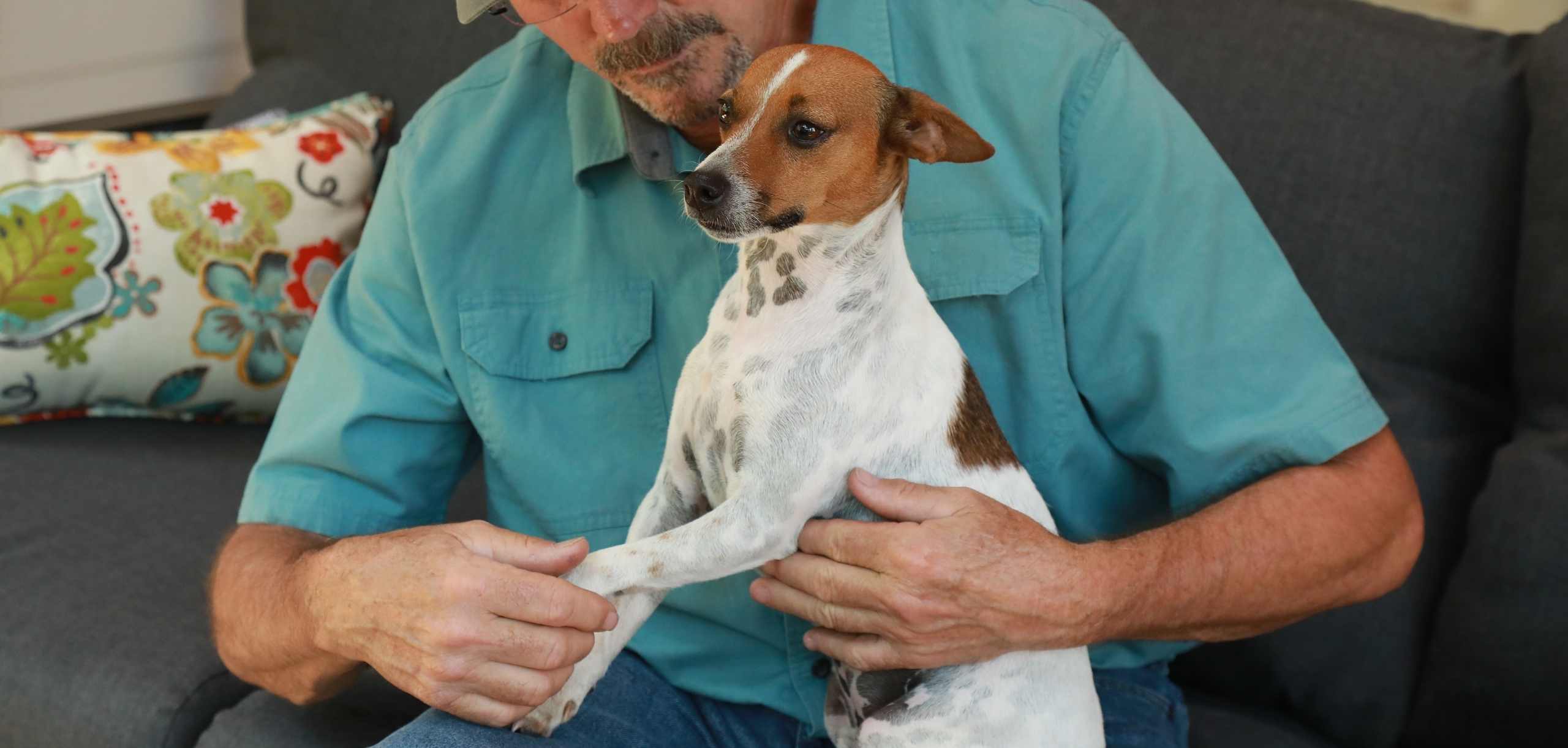 Photo of Jim using The Masterson Method light touch techniques on a small dog on his lap