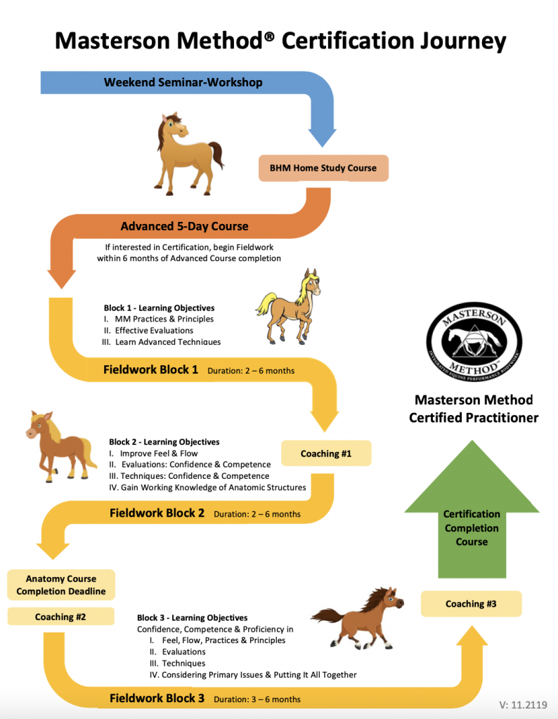 CertifcationJourneyInfographic-794x1024