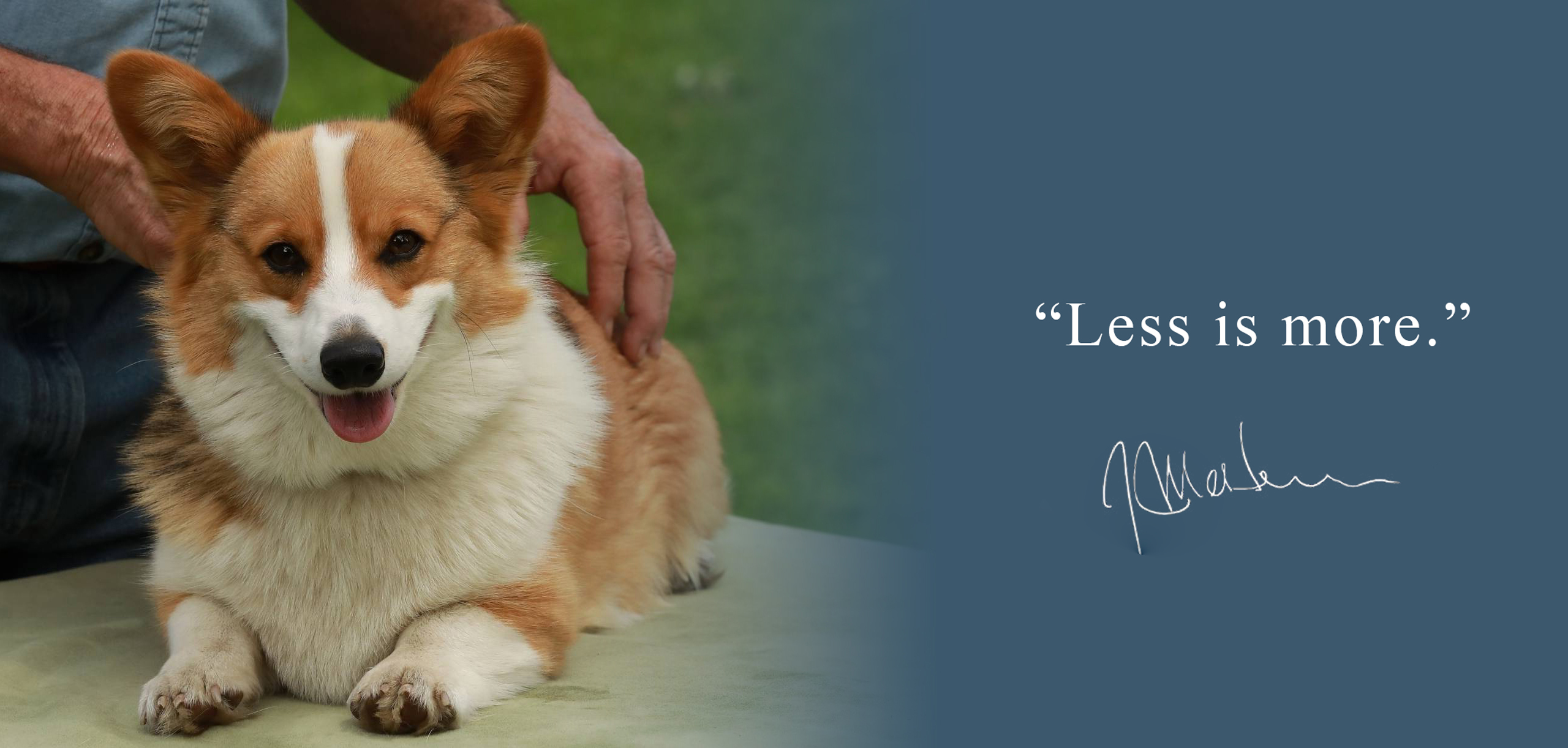 Photo of Jim lightly touching relaxed dog with the words Less is more, and Jim's signature.