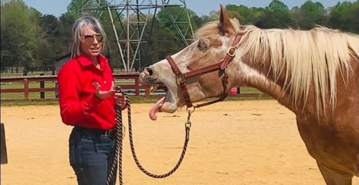 featuredimage Masterson Method Demos