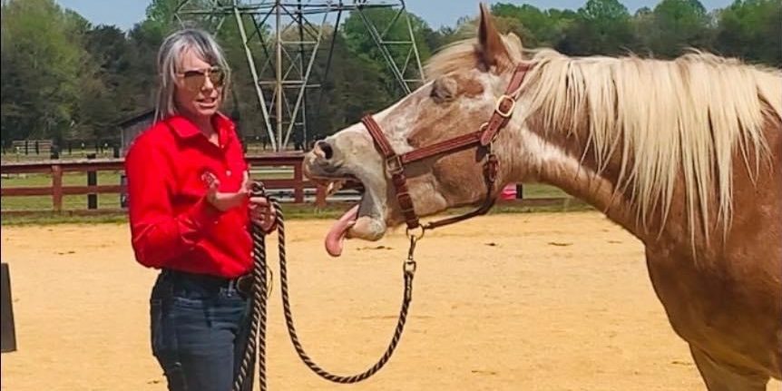 Masterson Method Demos