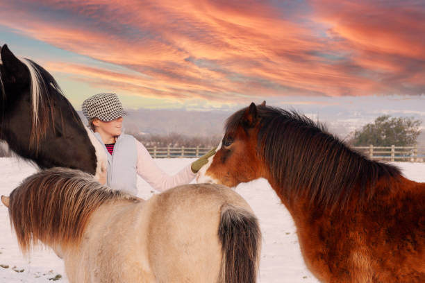 woman ponies snow