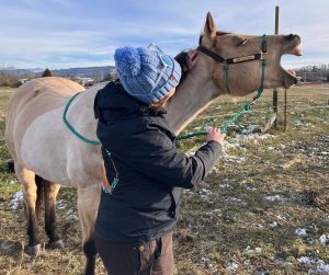 Photo of horse yawning as woman is doing light touch behind the poll.