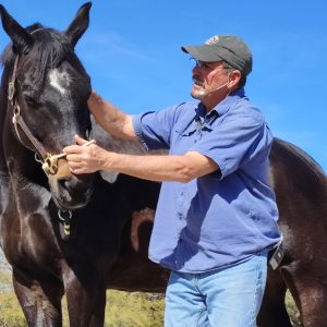 Jim working on horse at 2023 MMCP Gathering