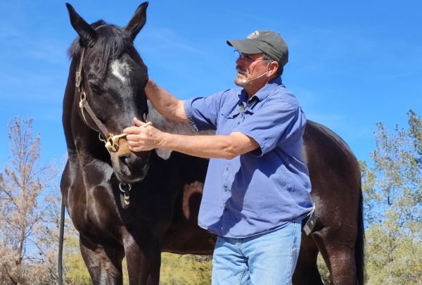 Jim working on horse at 2023 MMCP Gathering
