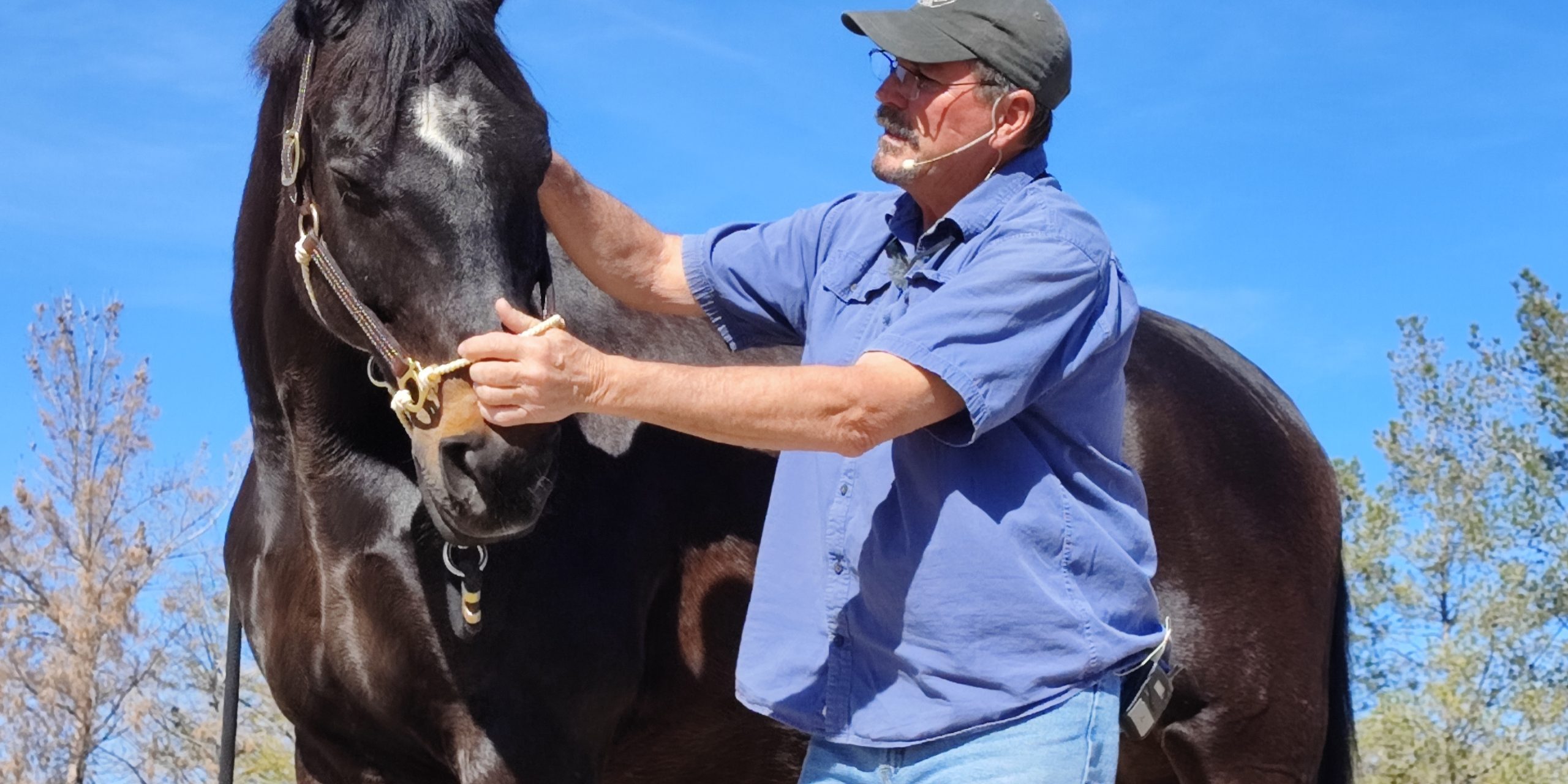 Jim working on horse at 2023 MMCP Gathering