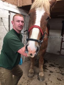 Josh standing with a horse performing equine dentistry.