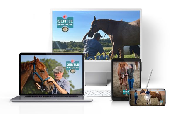 HorseClass offering on a computer, tablet or phone