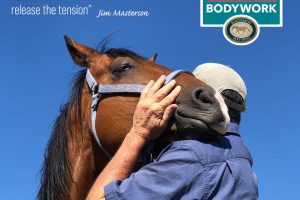 Photo of Jim with horse's chin resting on his shoulder, with the words, If you stay long enough and light enough, the horse's body will release the tension, by Jim Masterson