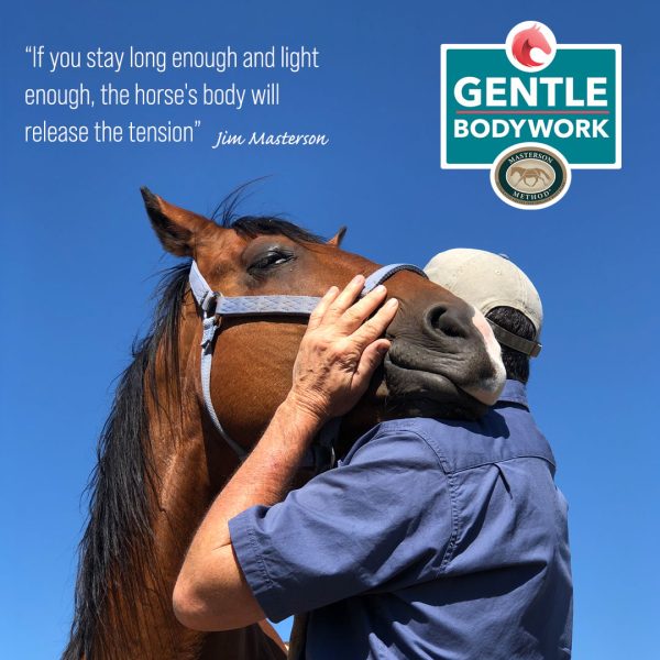 Photo of Jim with horse's chin resting on his shoulder, with the words, If you stay long enough and light enough, the horse's body will release the tension, by Jim Masterson