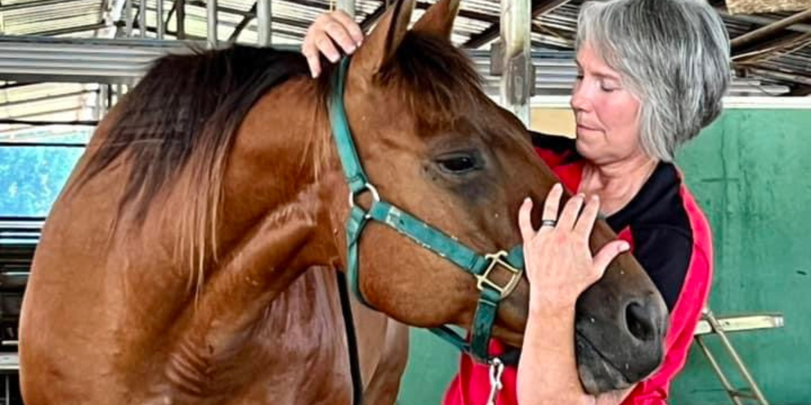 Alice working with Flash.