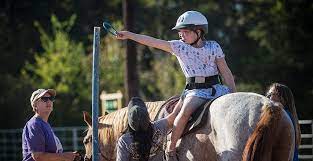 equine therapy horse