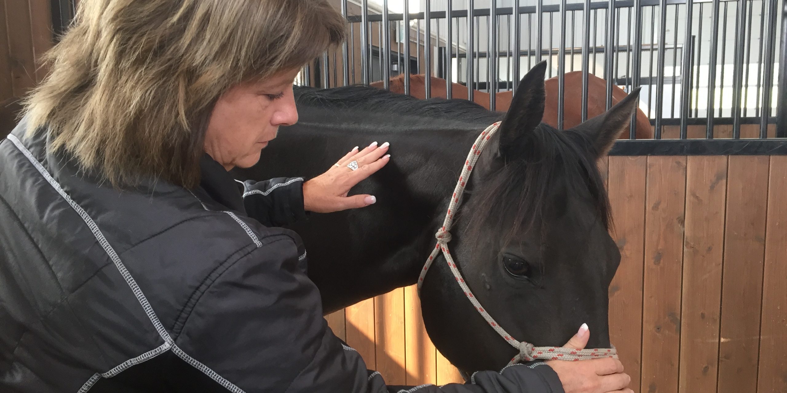 A woman working with a horse.