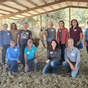 Portola Valley, CA: Weekend Course, August 22-23, 2026 with Sandy Vreeburg