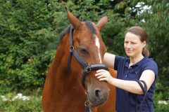 A woman working with a horse.