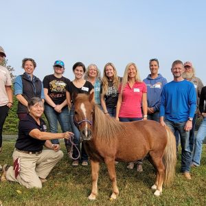 Cleveland, TN: Weekend Course, September 5-6, 2026 with Kathy Tow