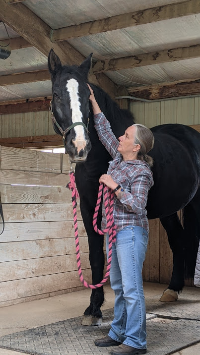 Photo of woman reaching up to a large horse's poll on the left side.