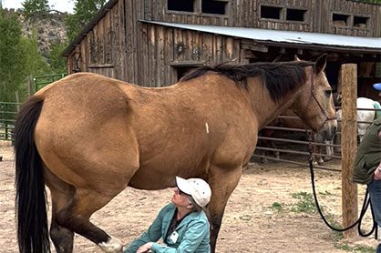 Photo of woman hold horse's right hind leg in a resting position and watching the hip to drop and relax.