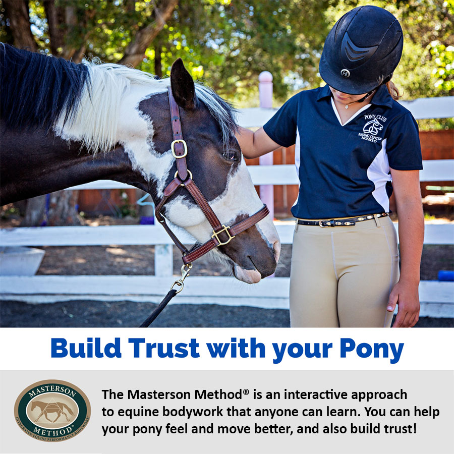 The Masterson Method® is an interactive approach to equine bodywork that anyone can learn. You can help your pony feel and move better, and also build trust!