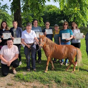 Ooltewah, TN: Advanced 5-Day, September 1-5, 2025 with Kathy Tow