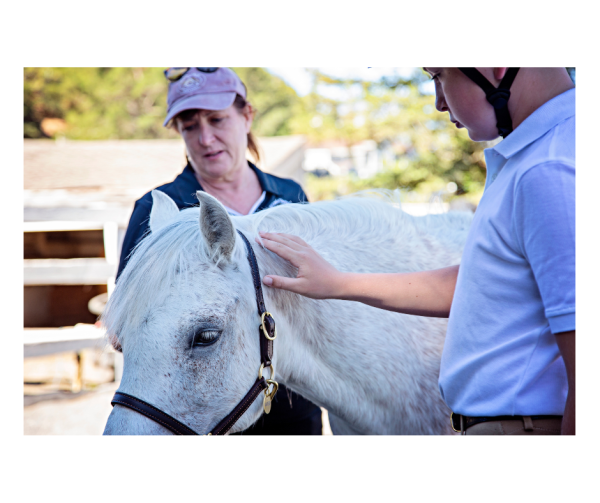 Boy touching relaxed pony with instructor guiding in the background.