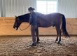 MMES Student with Horse