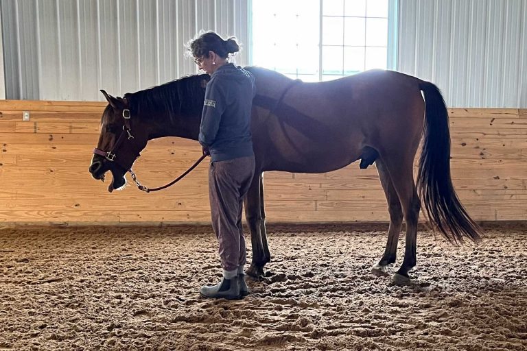 MMES Student with Horse