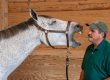 A white horse yawning directly into Jim's face.