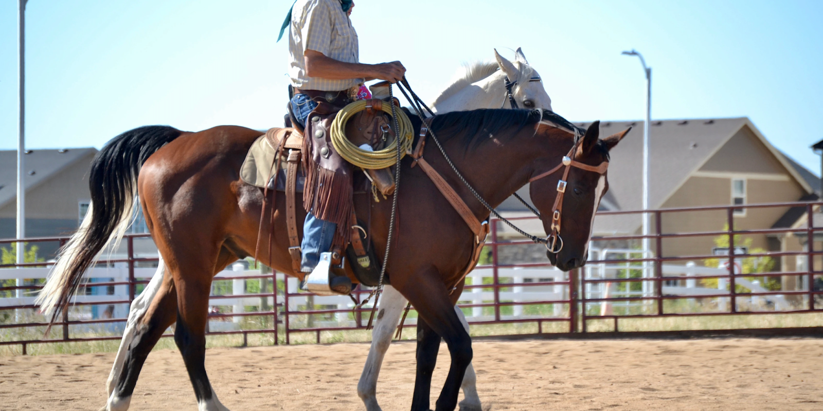 Photo of Mark Rashid on his horse Top
