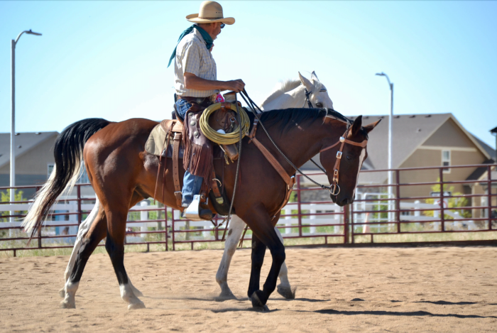 Photo of Mark Rashid on his horse Top